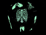 Load image into Gallery viewer, Human Skeletons *Glow-in-the-Dark*
