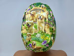 Load image into Gallery viewer, Golden Retrievers Park  - Ponytail
