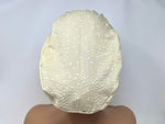 Load image into Gallery viewer, Multi Dots  - Cotton Ripple - Ponytail
