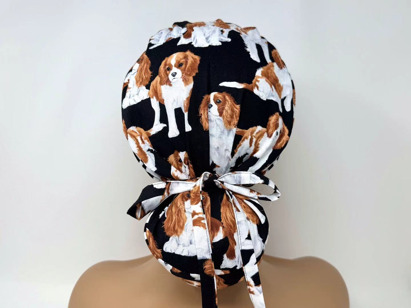 Cavalier King Charles Spaniel - Ponytail