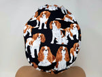 Load image into Gallery viewer, Cavalier King Charles Spaniel - Ponytail
