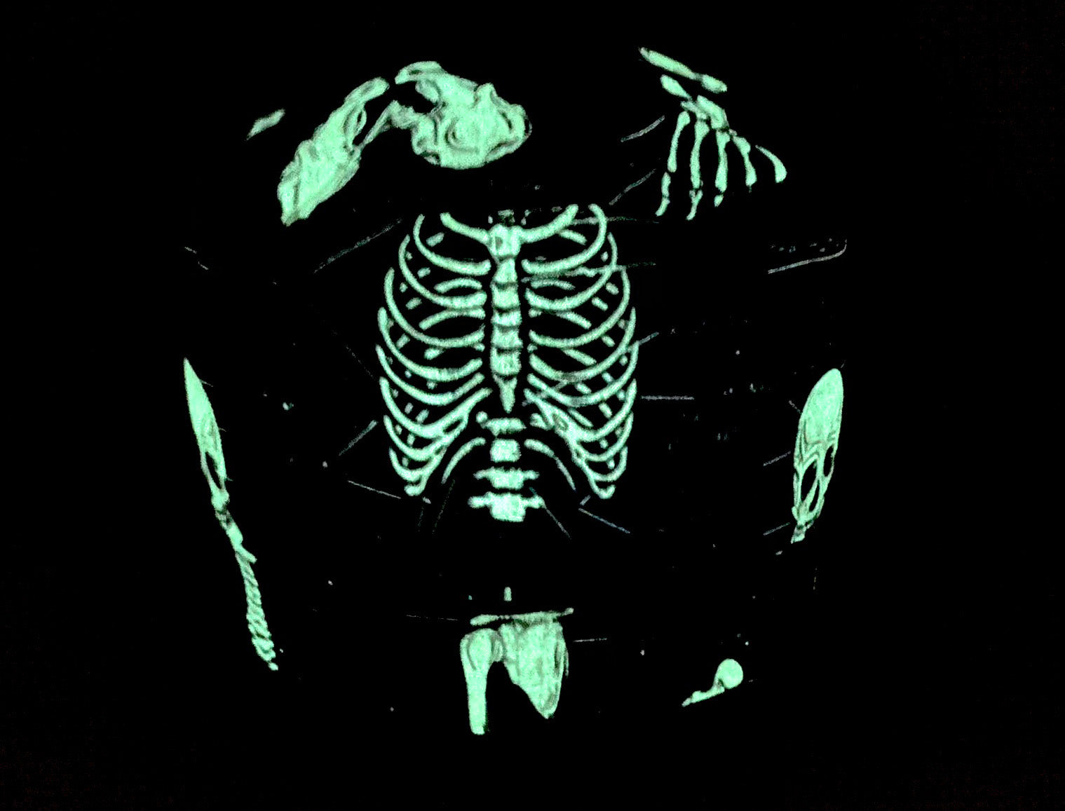 Human Skeletons *Glow-in-the-Dark*