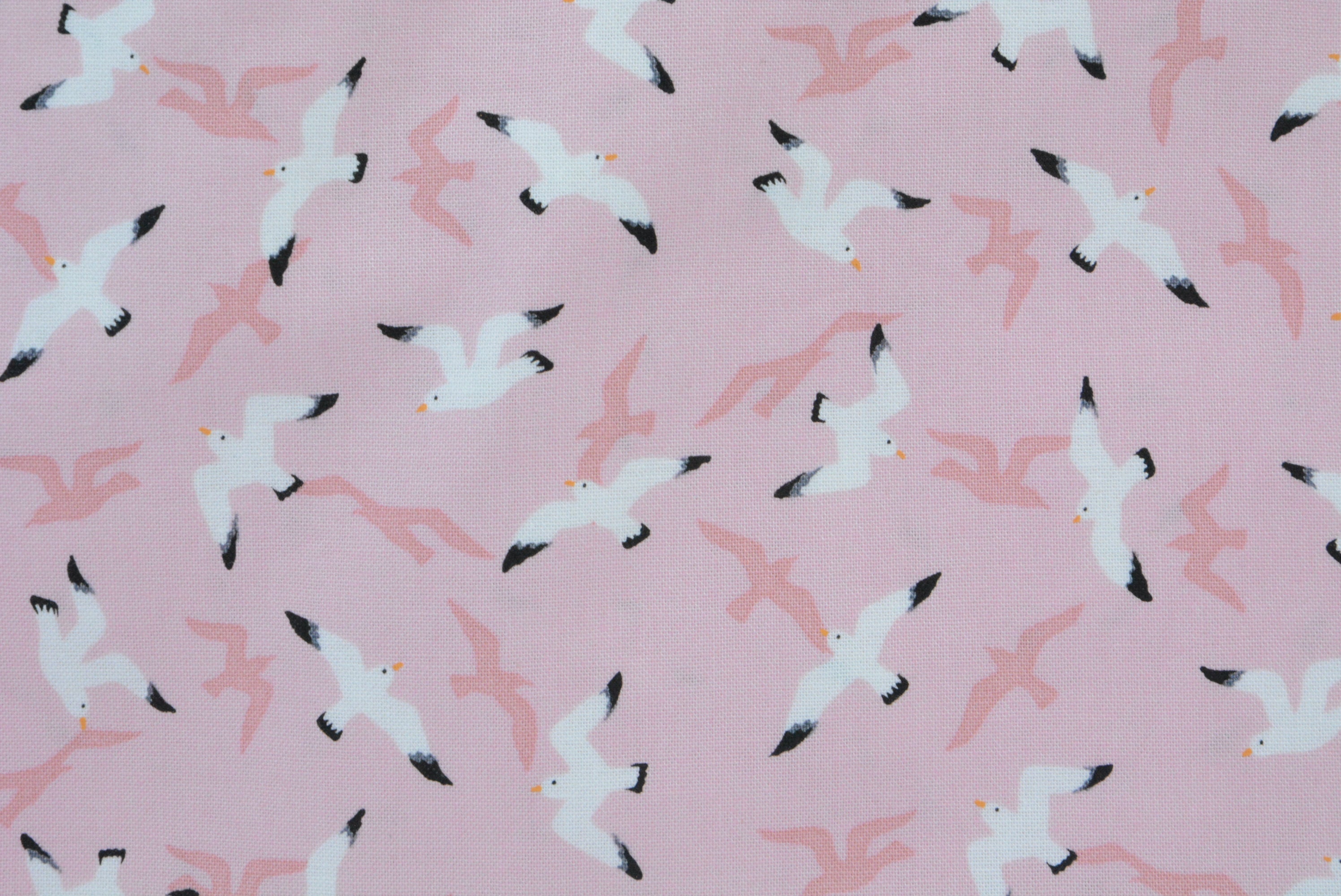 Flying Seagulls on Pink II