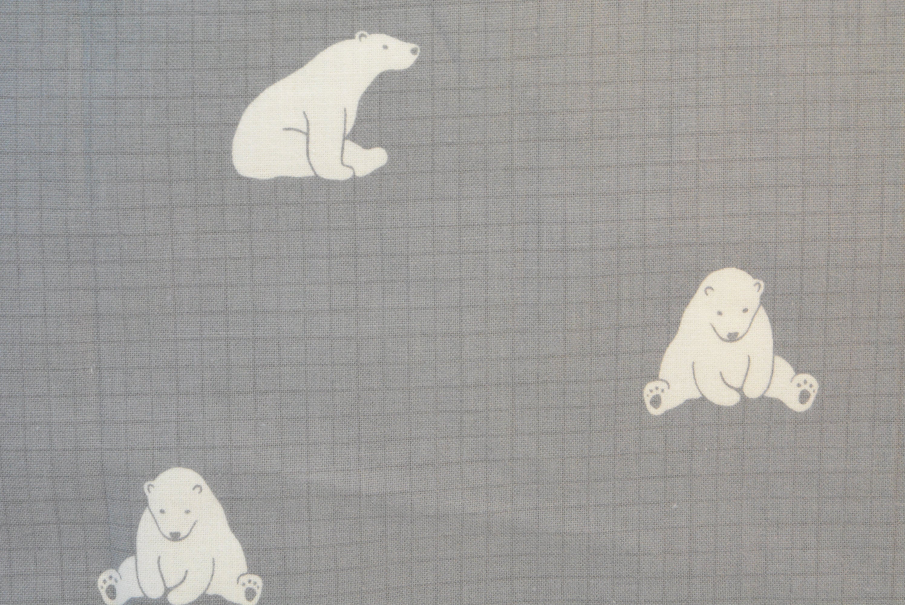 Polar Bear on Grid
