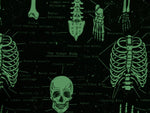 Load image into Gallery viewer, Human Skeletons *Glow in the Dark*
