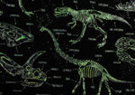 Load image into Gallery viewer, Dinosaur Skeletons *Glow in the Dark*
